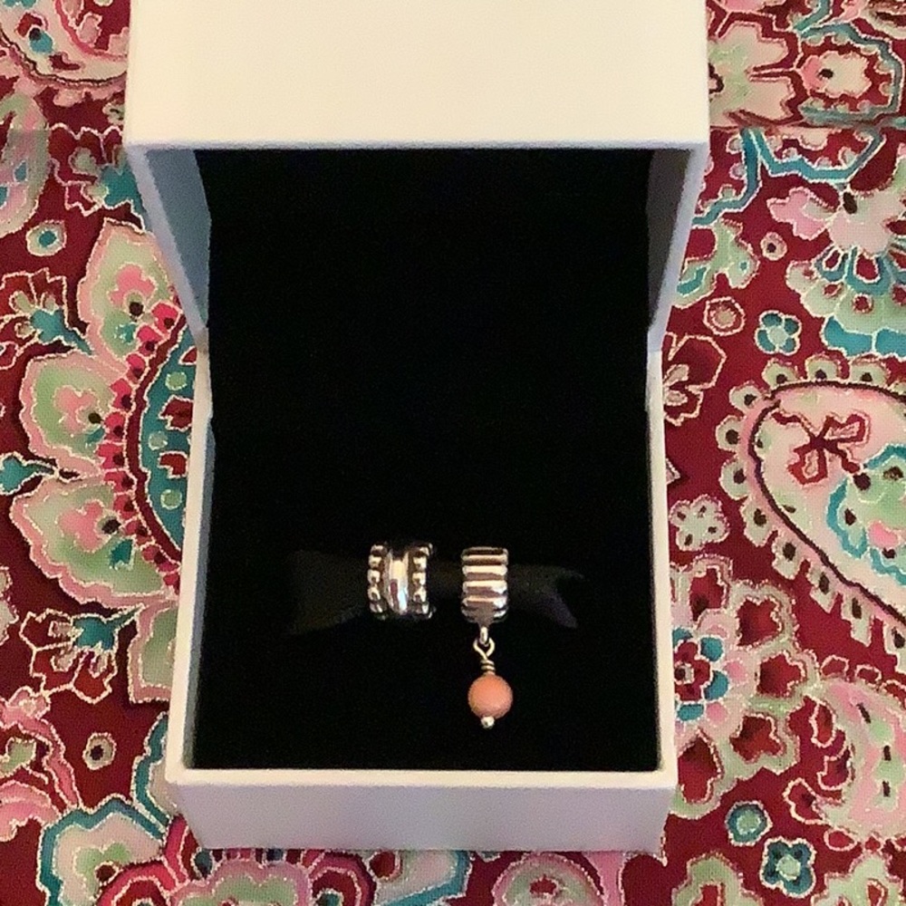 Pandora Charms